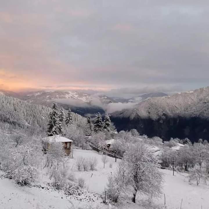 Guest House Chveni Ezo Khulo Экстерьер фото